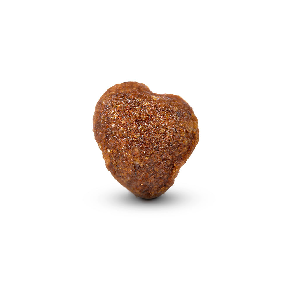 Arden Grange Adult Dog Food - Fresh Chicken & Rice