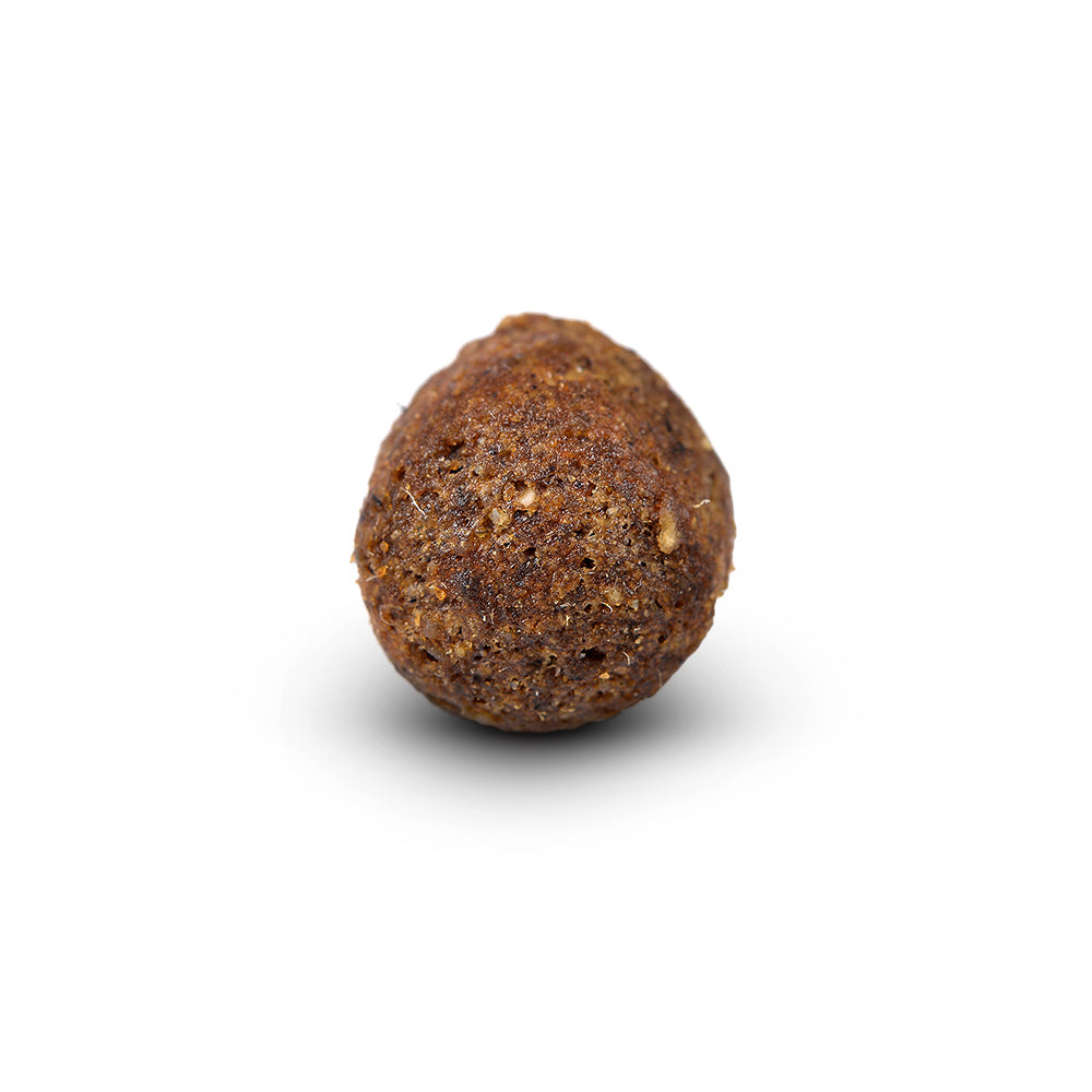 Arden Grange Adult Dog Food - Lamb & Rice