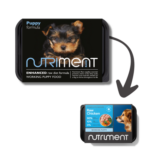 Nutriment Puppy Formula