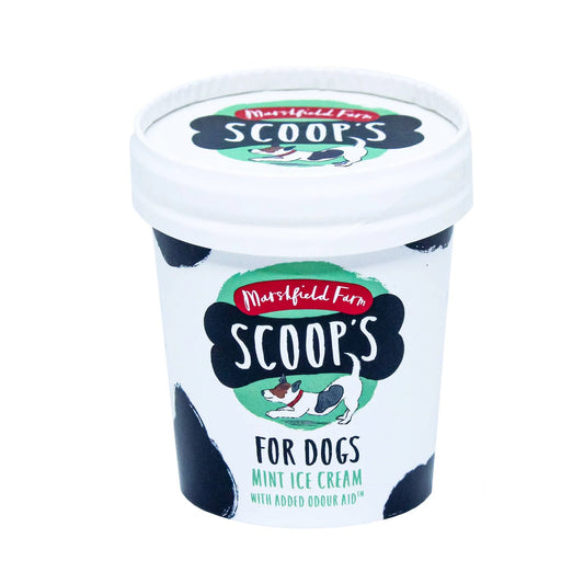 Scoops Dog Ice Cream - Mint
