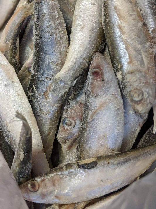 1kg Frozen Whole British Sprats