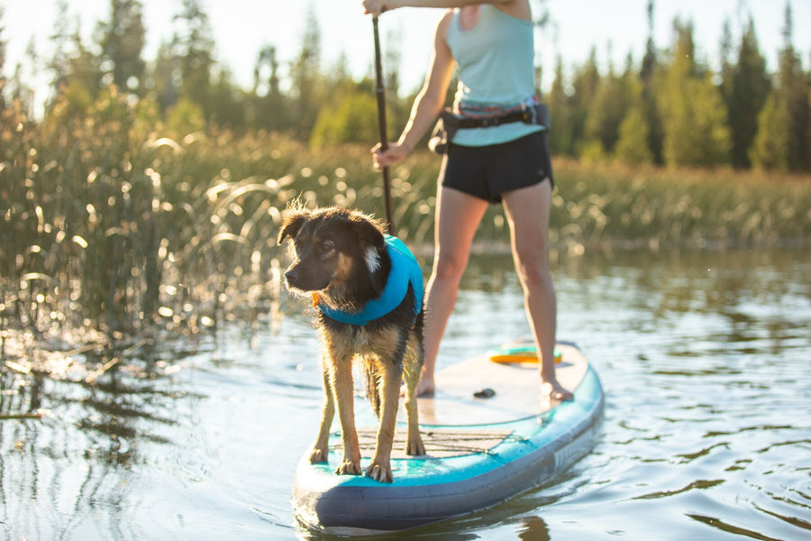 Ruffwear Float Coat: a dog life jacket essential for canine water safety