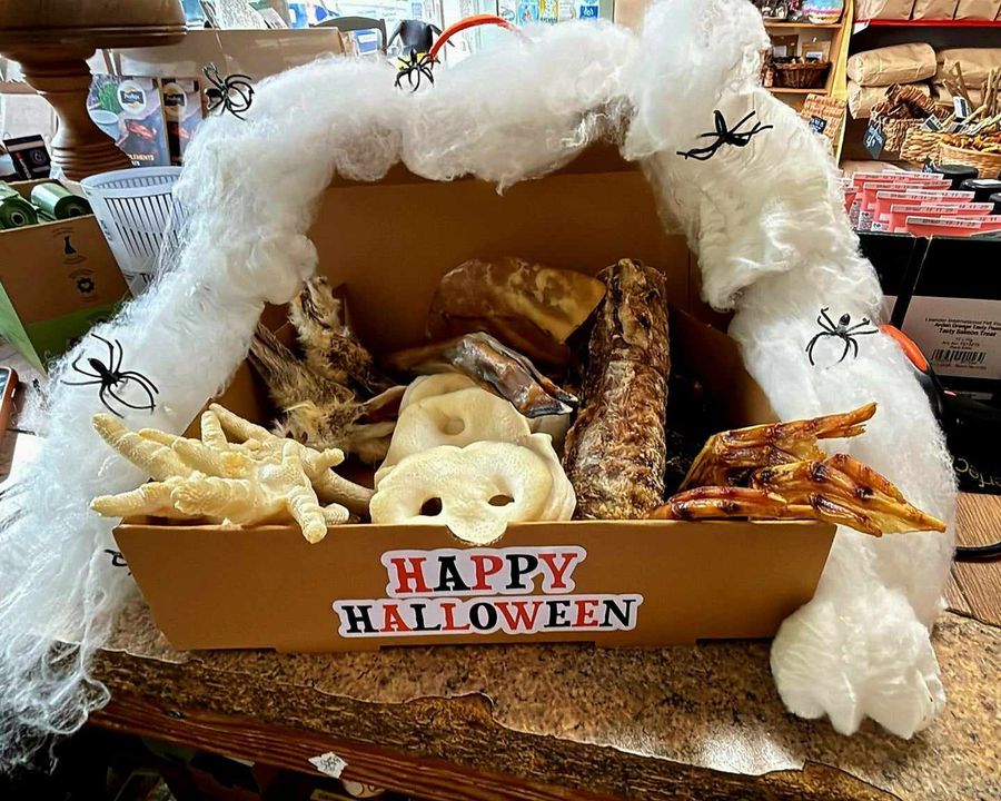 No Tricks, Just Treats!