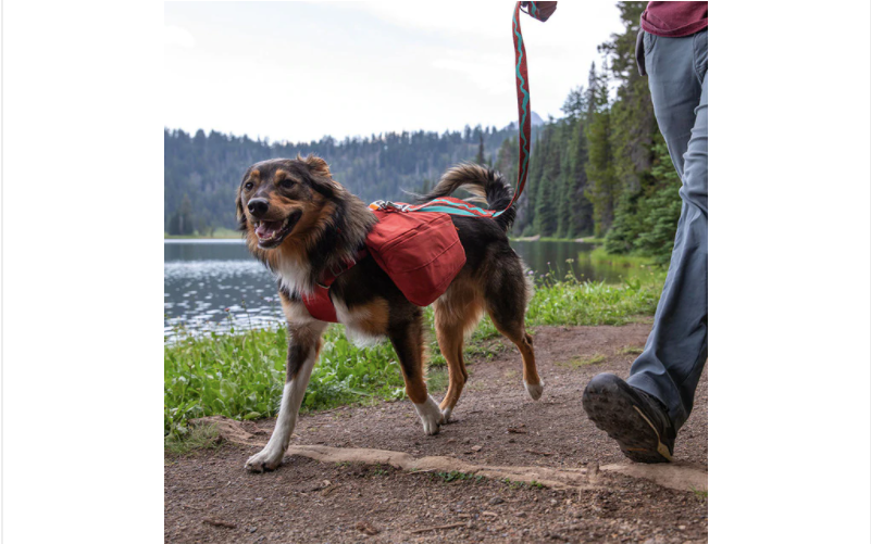 Ruffwear Front Range™ Day Pack