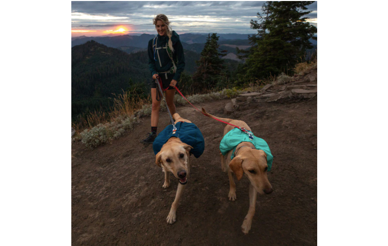 Ruffwear Front Range™ Day Pack