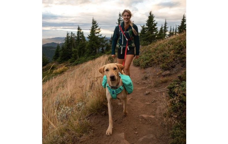 Ruffwear Front Range™ Day Pack