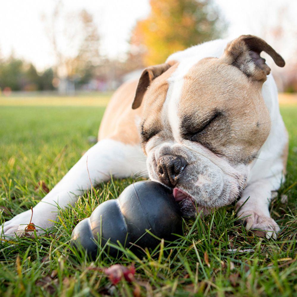 Kong Extreme Feeding Toy