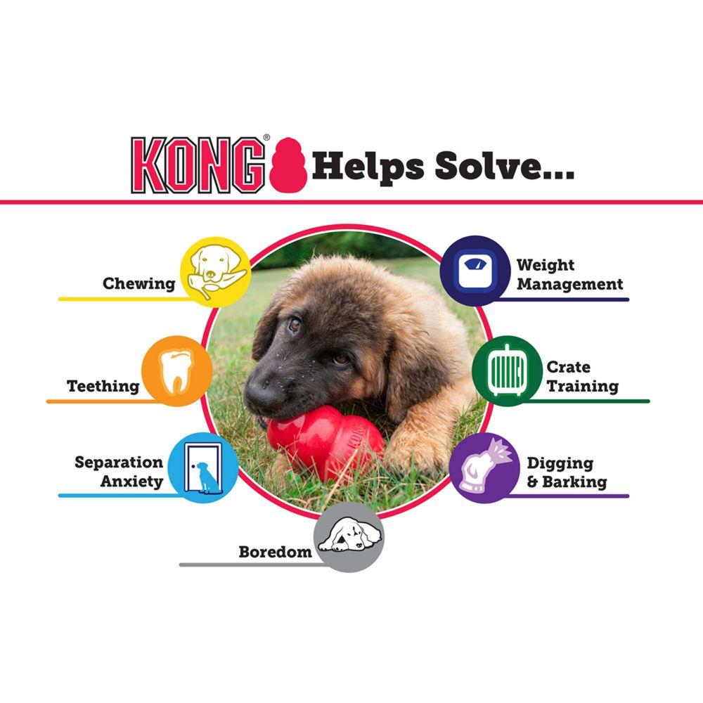 Kong Extreme Feeding Toy